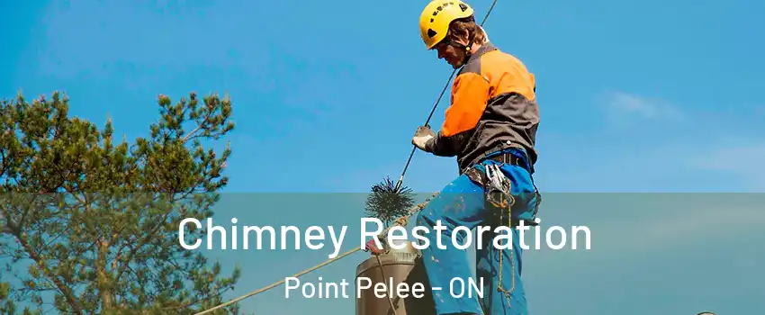  Chimney Restoration Point Pelee - ON