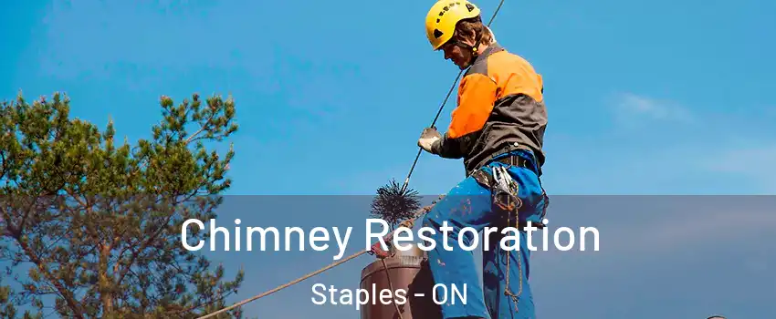  Chimney Restoration Staples - ON