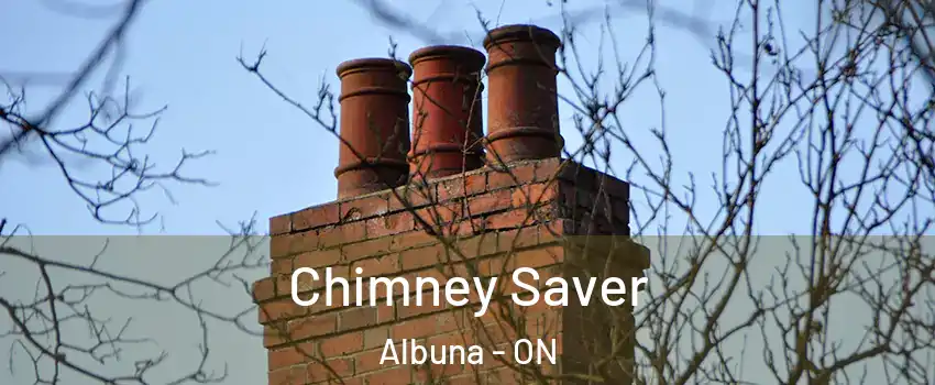  Chimney Saver Albuna - ON