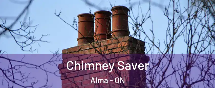  Chimney Saver Alma - ON