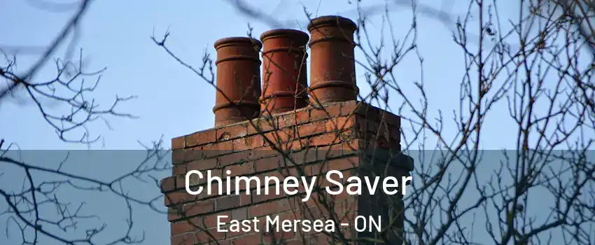  Chimney Saver East Mersea - ON