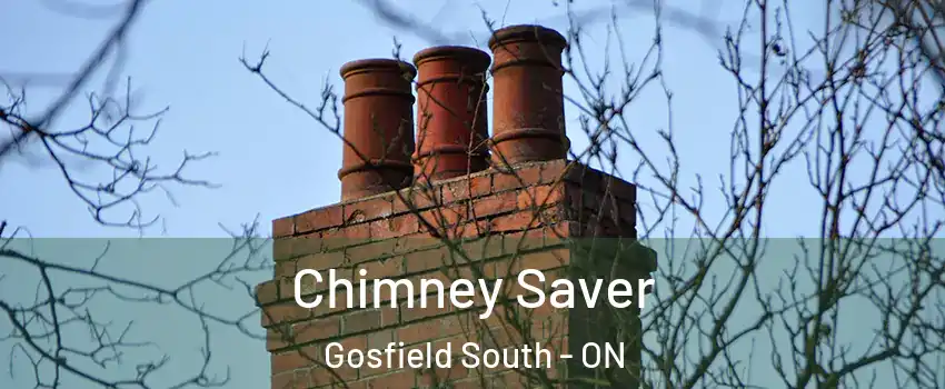  Chimney Saver Gosfield South - ON