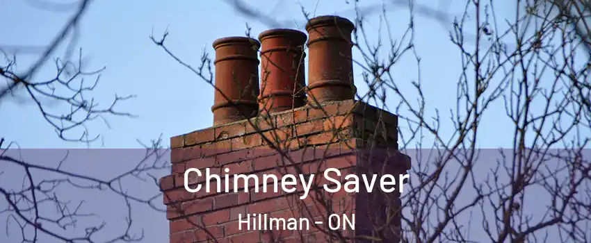  Chimney Saver Hillman - ON