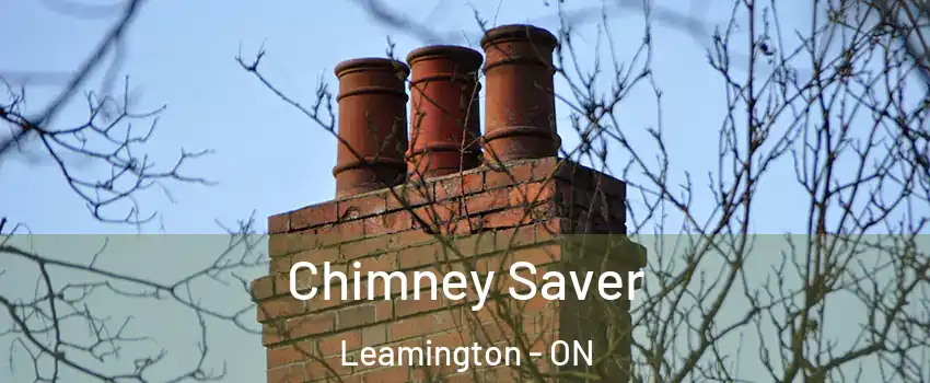  Chimney Saver Leamington - ON