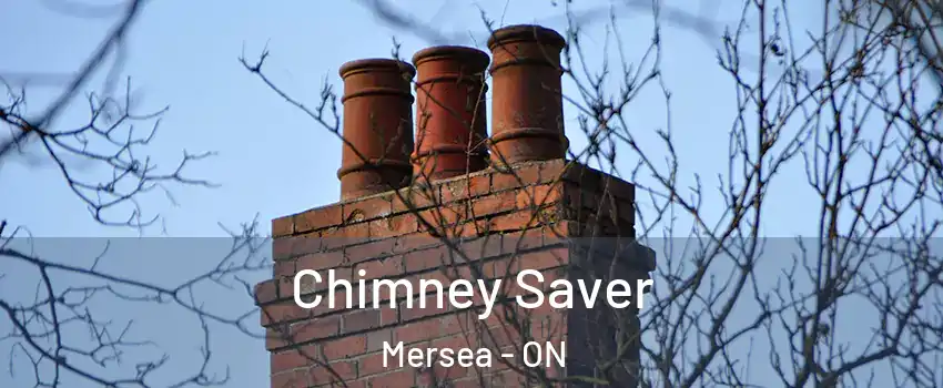  Chimney Saver Mersea - ON