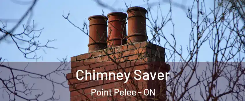  Chimney Saver Point Pelee - ON