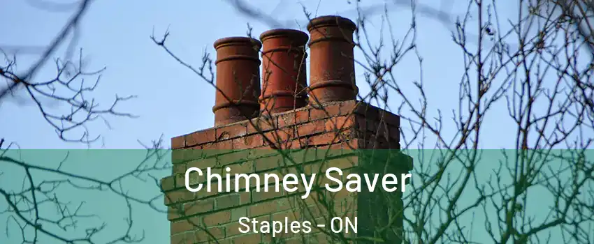  Chimney Saver Staples - ON