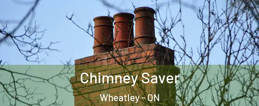  Chimney Saver Wheatley - ON