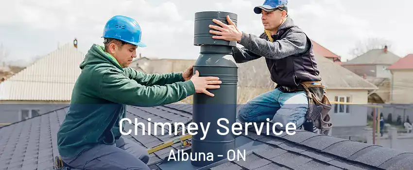  Chimney Service Albuna - ON
