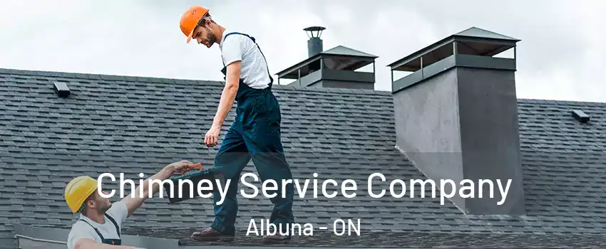  Chimney Service Company Albuna - ON