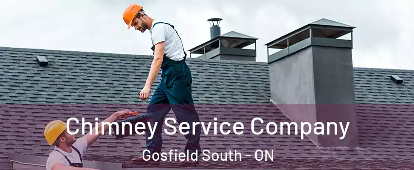  Chimney Service Company Gosfield South - ON