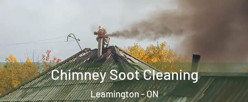  Chimney Soot Cleaning Leamington - ON