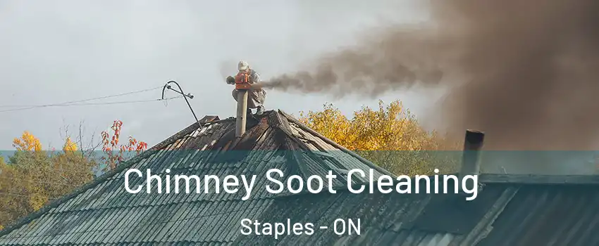  Chimney Soot Cleaning Staples - ON
