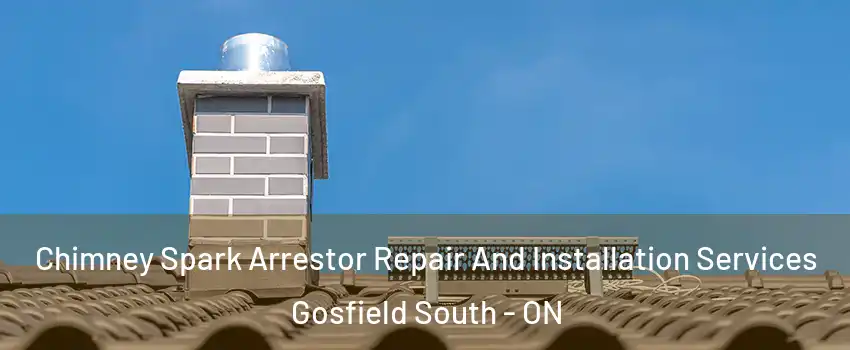  Chimney Spark Arrestor Repair And Installation Services Gosfield South - ON
