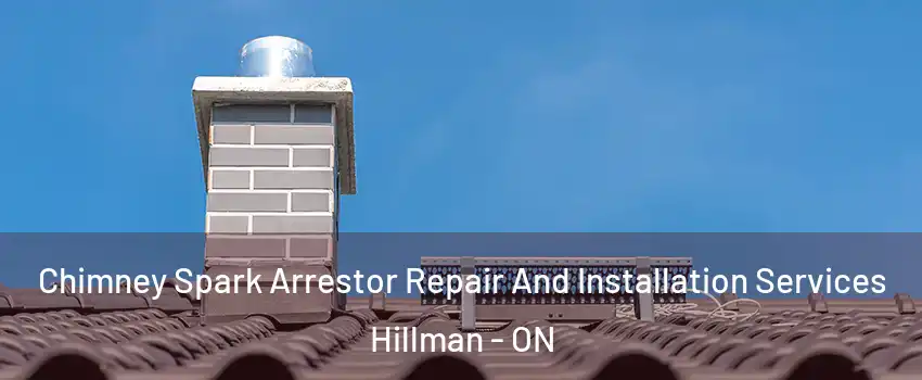 Chimney Spark Arrestor Repair And Installation Services Hillman - ON
