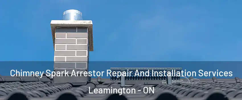  Chimney Spark Arrestor Repair And Installation Services Leamington - ON