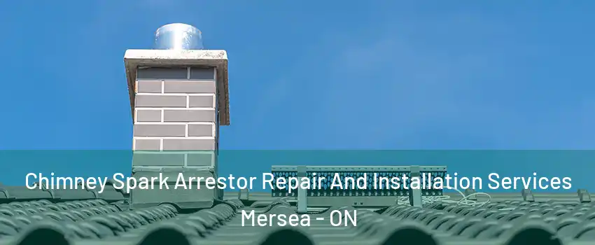  Chimney Spark Arrestor Repair And Installation Services Mersea - ON