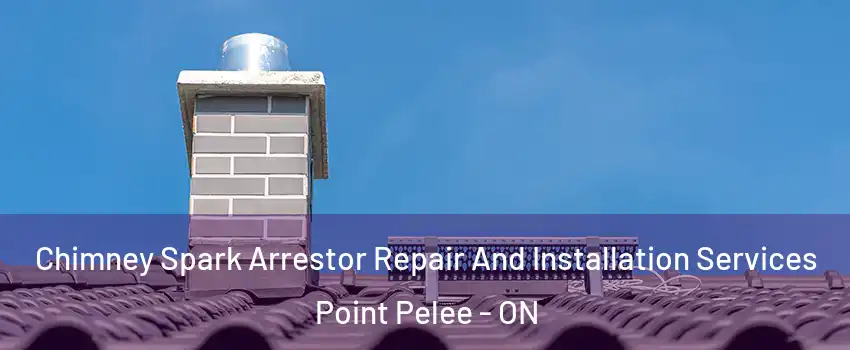  Chimney Spark Arrestor Repair And Installation Services Point Pelee - ON