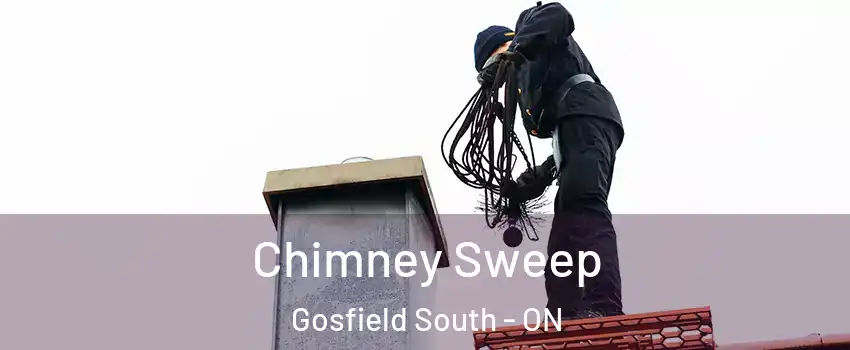  Chimney Sweep Gosfield South - ON
