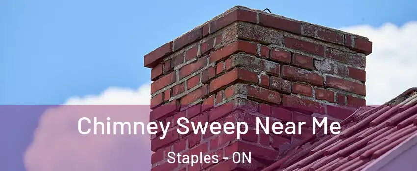  Chimney Sweep Near Me Staples - ON