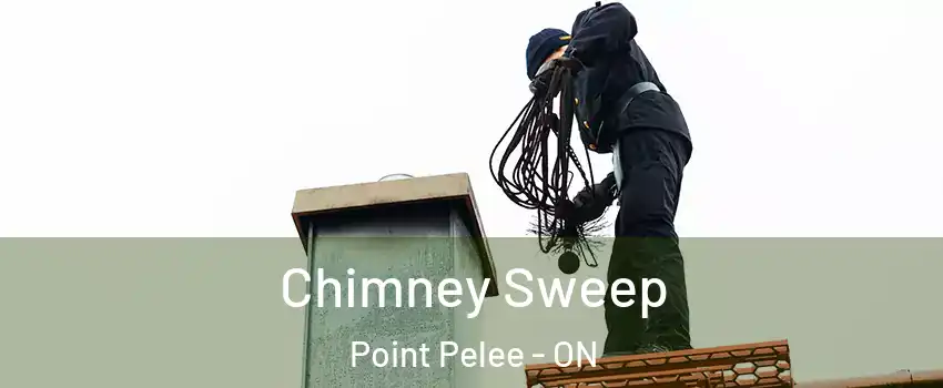  Chimney Sweep Point Pelee - ON