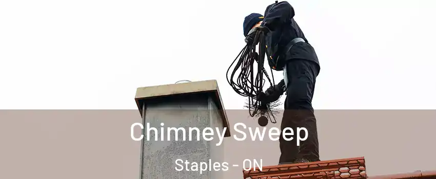  Chimney Sweep Staples - ON