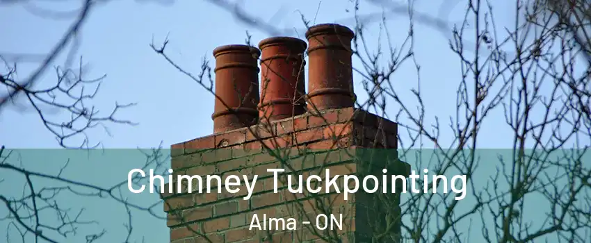  Chimney Tuckpointing Alma - ON