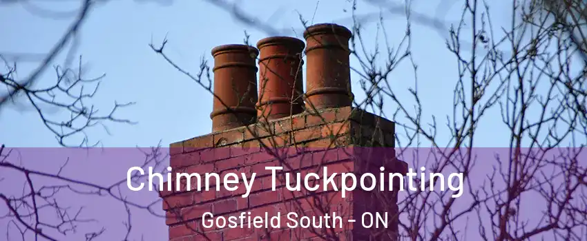  Chimney Tuckpointing Gosfield South - ON
