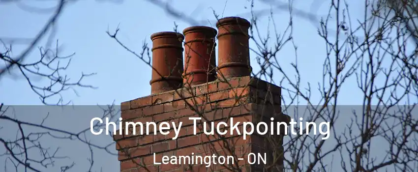  Chimney Tuckpointing Leamington - ON