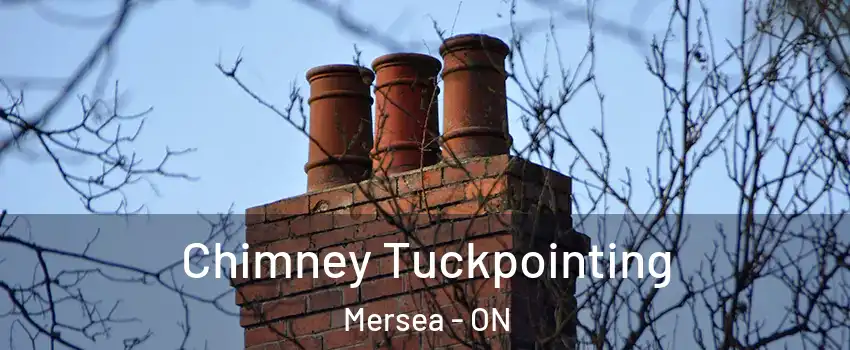  Chimney Tuckpointing Mersea - ON