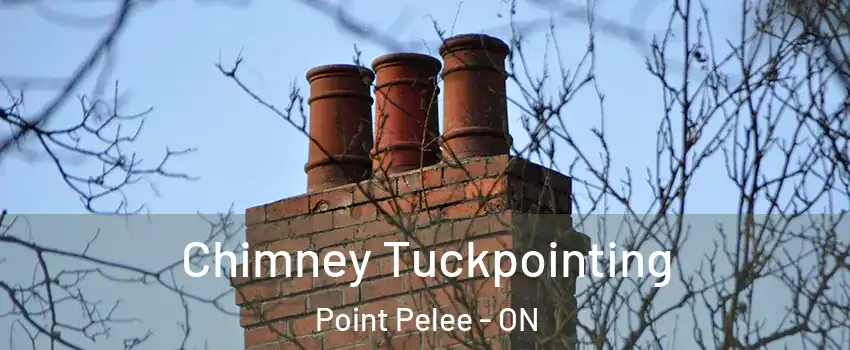  Chimney Tuckpointing Point Pelee - ON