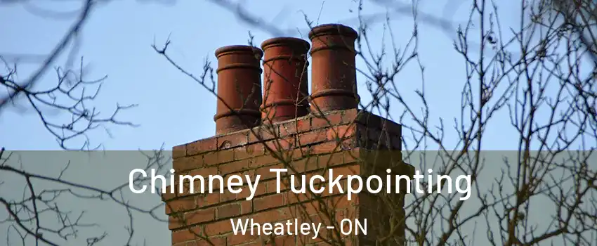  Chimney Tuckpointing Wheatley - ON