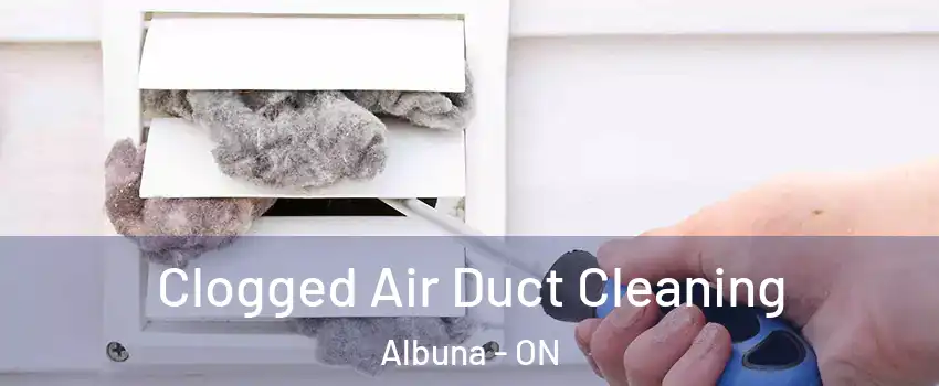  Clogged Air Duct Cleaning Albuna - ON