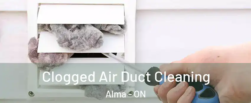  Clogged Air Duct Cleaning Alma - ON