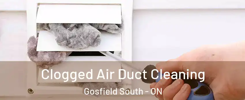  Clogged Air Duct Cleaning Gosfield South - ON