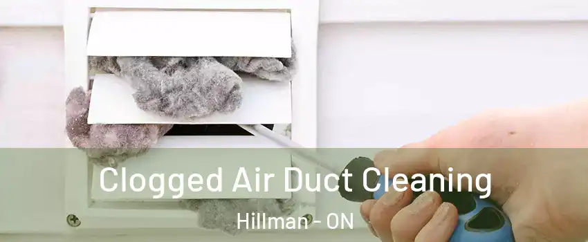  Clogged Air Duct Cleaning Hillman - ON
