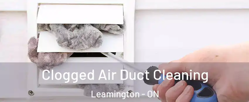  Clogged Air Duct Cleaning Leamington - ON