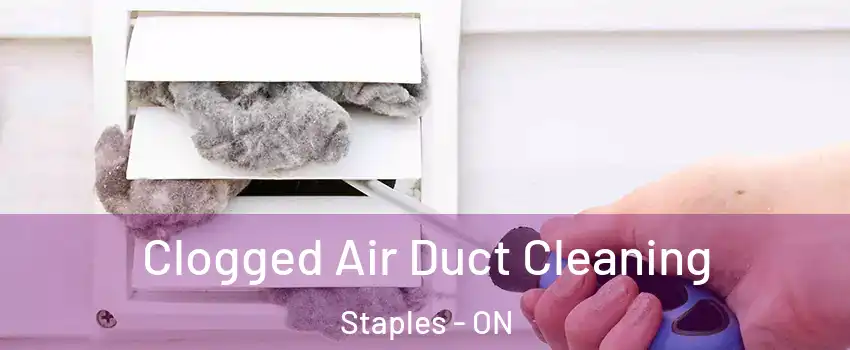  Clogged Air Duct Cleaning Staples - ON