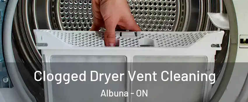  Clogged Dryer Vent Cleaning Albuna - ON