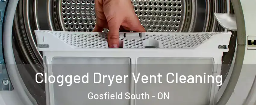  Clogged Dryer Vent Cleaning Gosfield South - ON