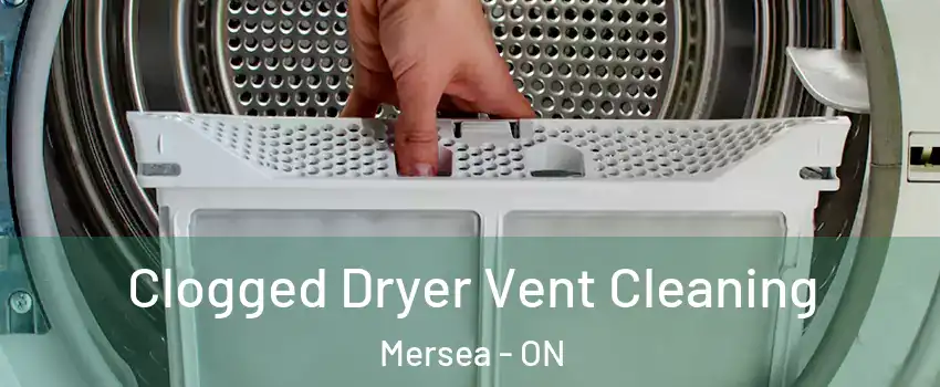  Clogged Dryer Vent Cleaning Mersea - ON