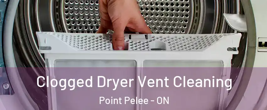  Clogged Dryer Vent Cleaning Point Pelee - ON