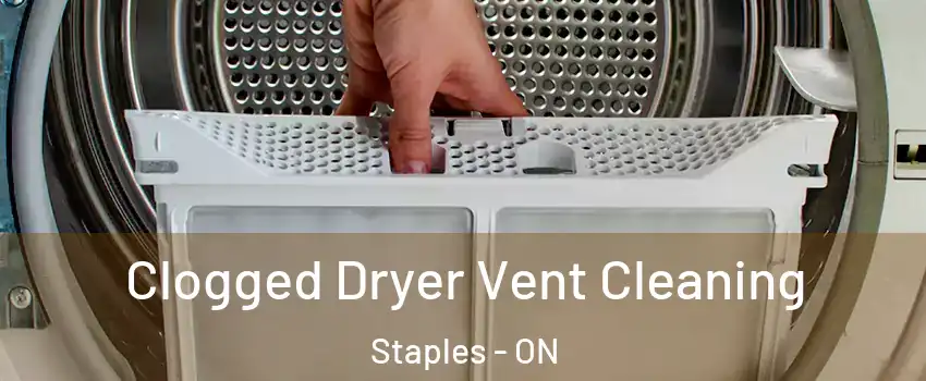  Clogged Dryer Vent Cleaning Staples - ON