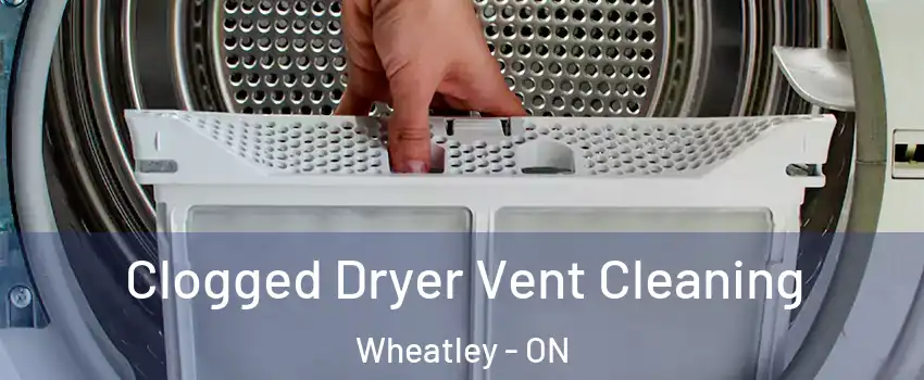  Clogged Dryer Vent Cleaning Wheatley - ON
