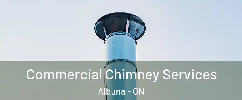  Commercial Chimney Services Albuna - ON