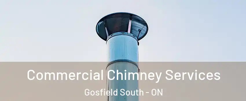  Commercial Chimney Services Gosfield South - ON