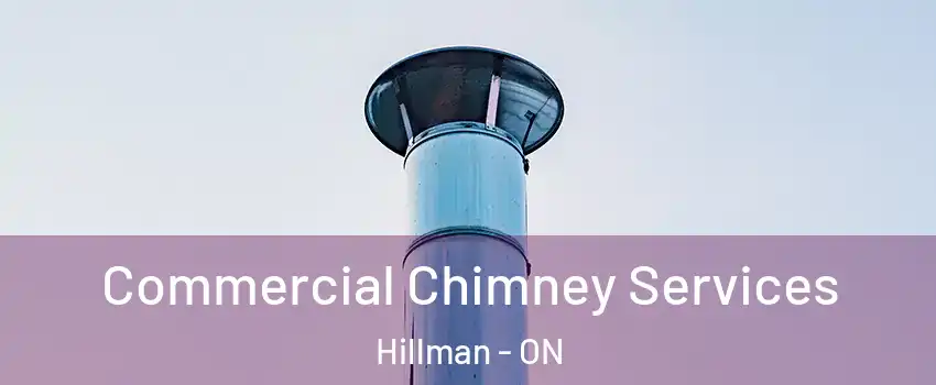  Commercial Chimney Services Hillman - ON