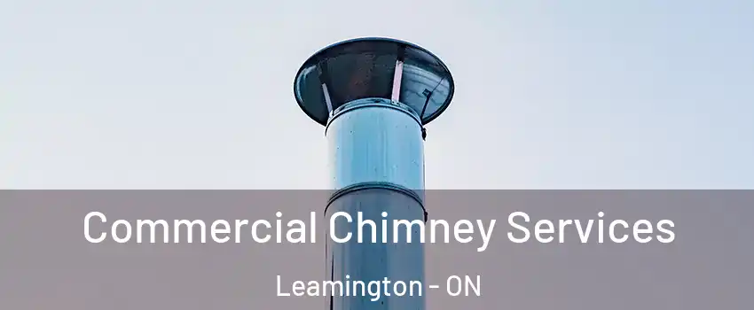  Commercial Chimney Services Leamington - ON