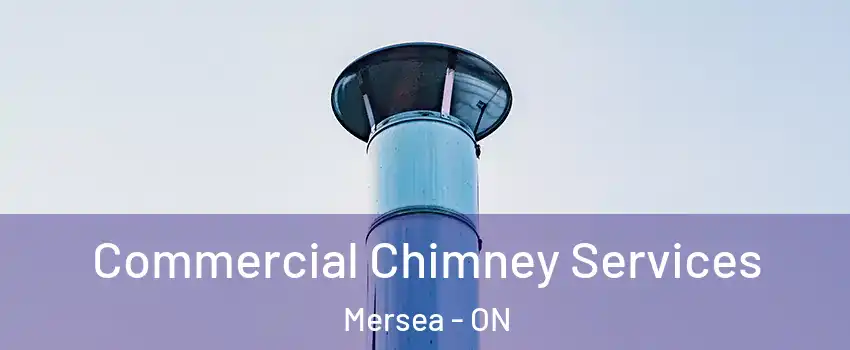  Commercial Chimney Services Mersea - ON