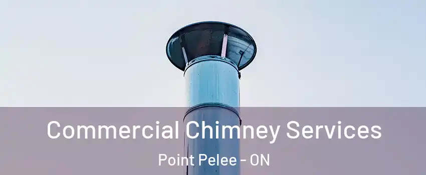  Commercial Chimney Services Point Pelee - ON